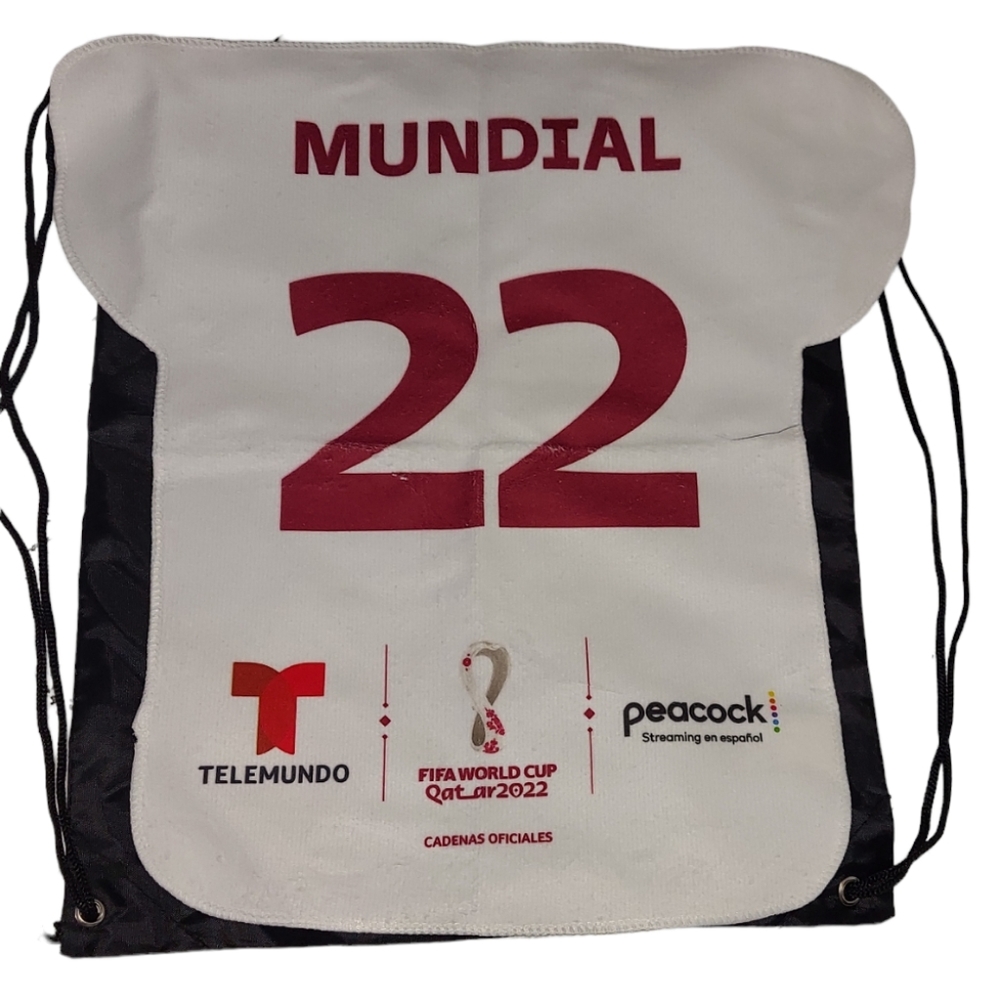 World Cup fifa 2022 fan pack